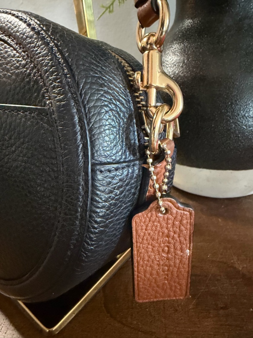 Coach Horse & Carriage Camera Bag - Picture 7 of 13